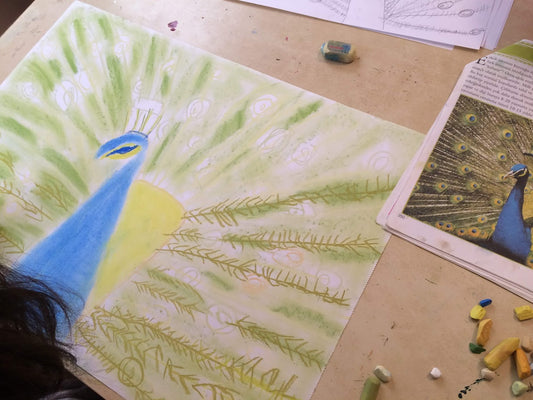 Little Artists: Drawing & Painting for Ages 6-12