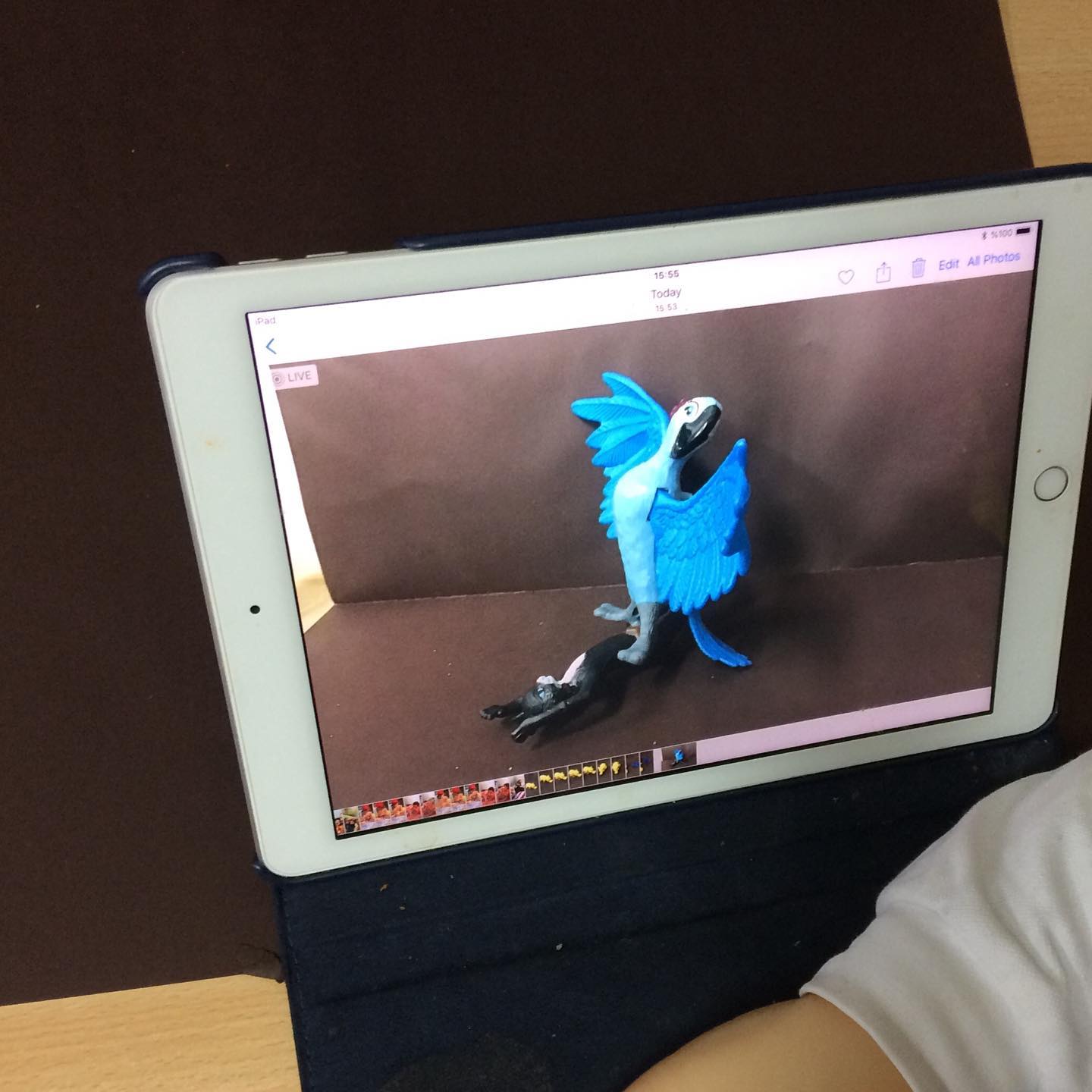 Stop-Motion Film Animation