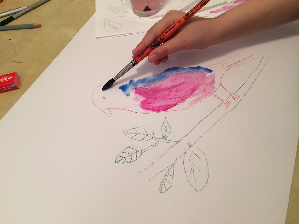 Premium Watercolor Art Kit  Ages 6+