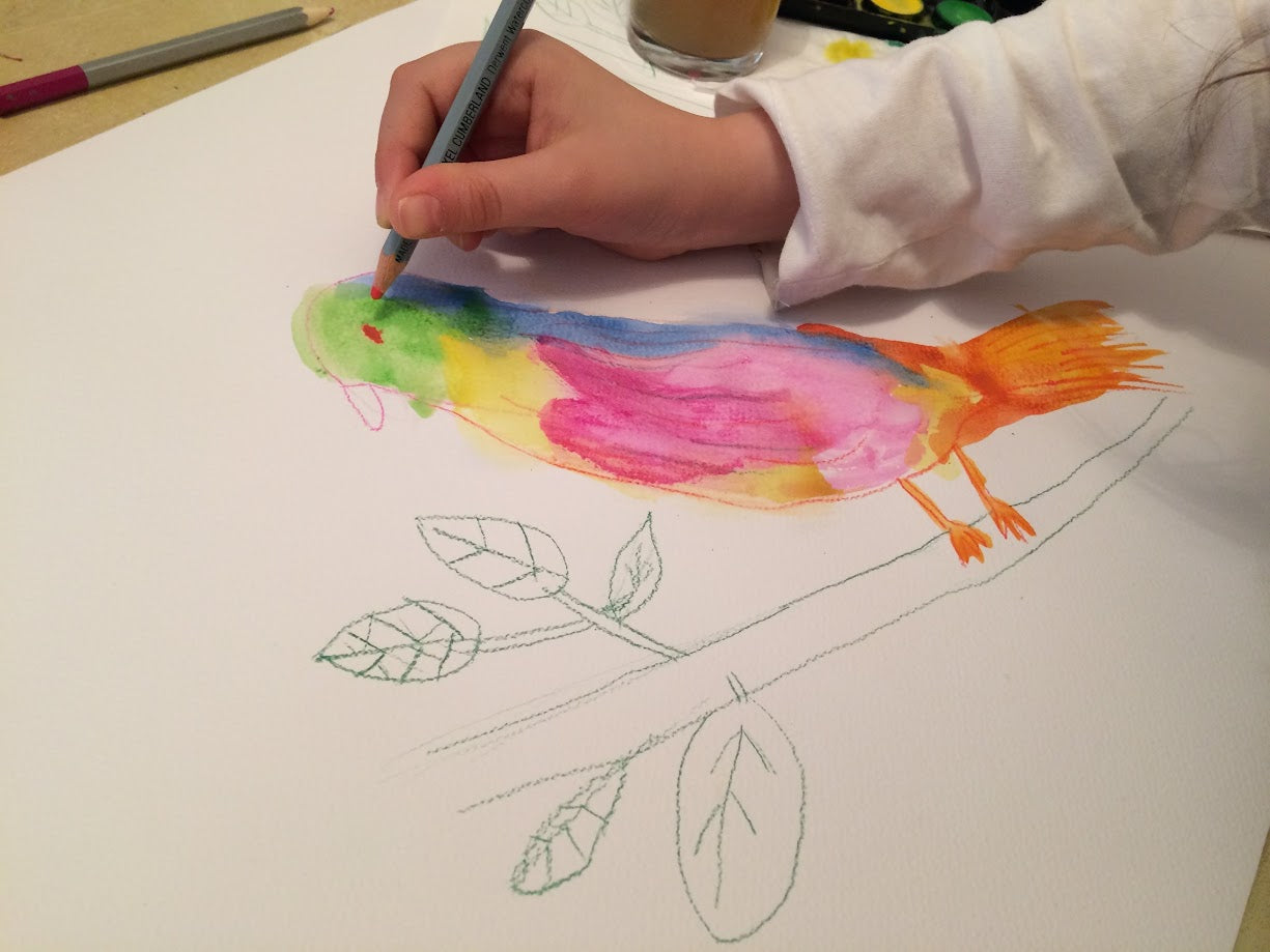 Premium Watercolor Art Kit  Ages 6+