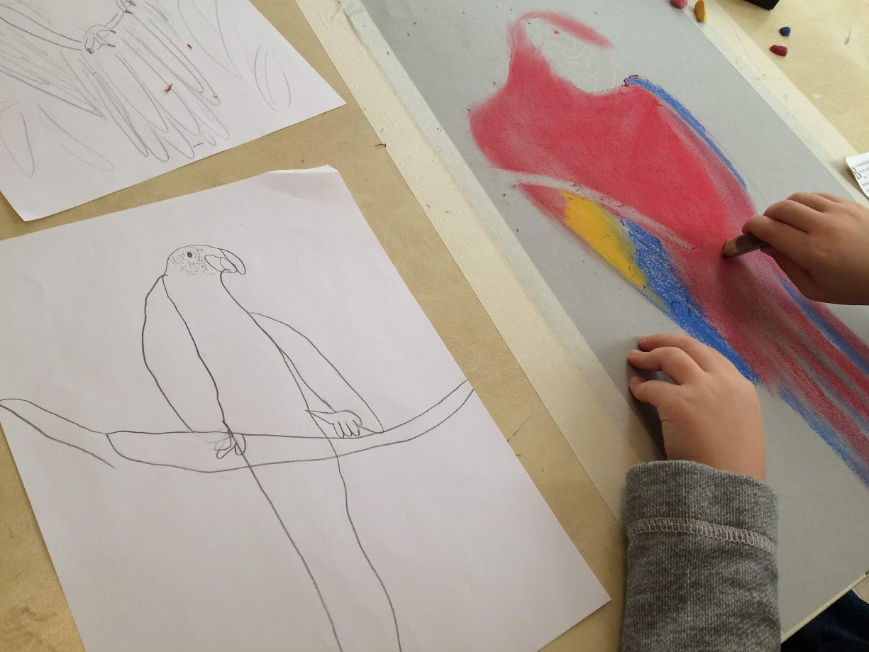 Summer Art Camp for Ages 8-12